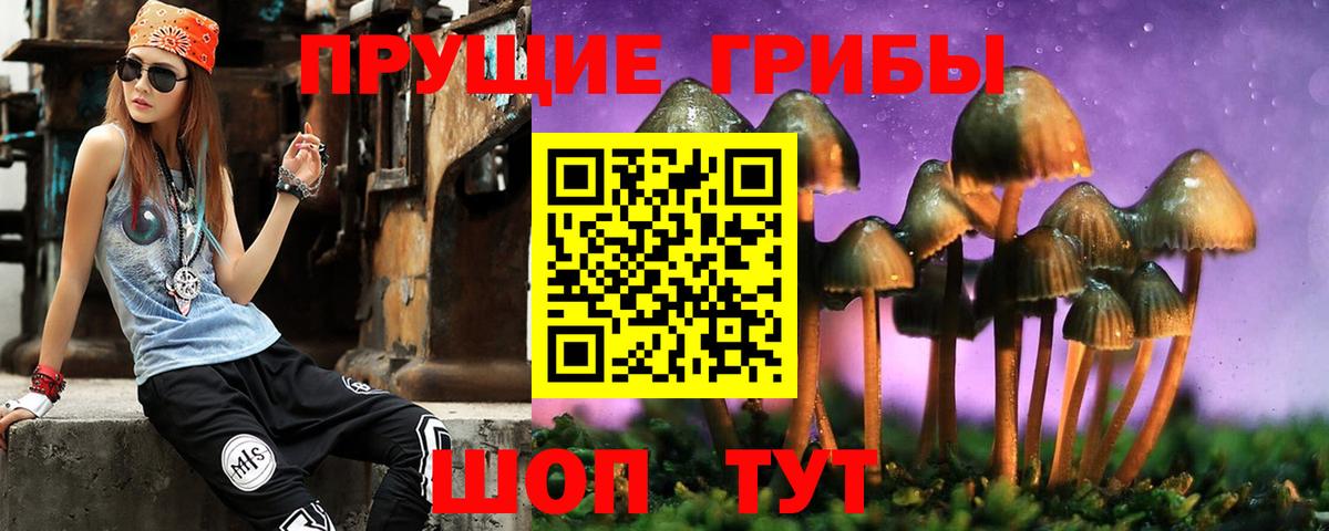 Знаменск  что такое   Галлюциногенные грибы прущие грибы  Вход с VPN  Галлюциногенные грибы Magic Shrooms 