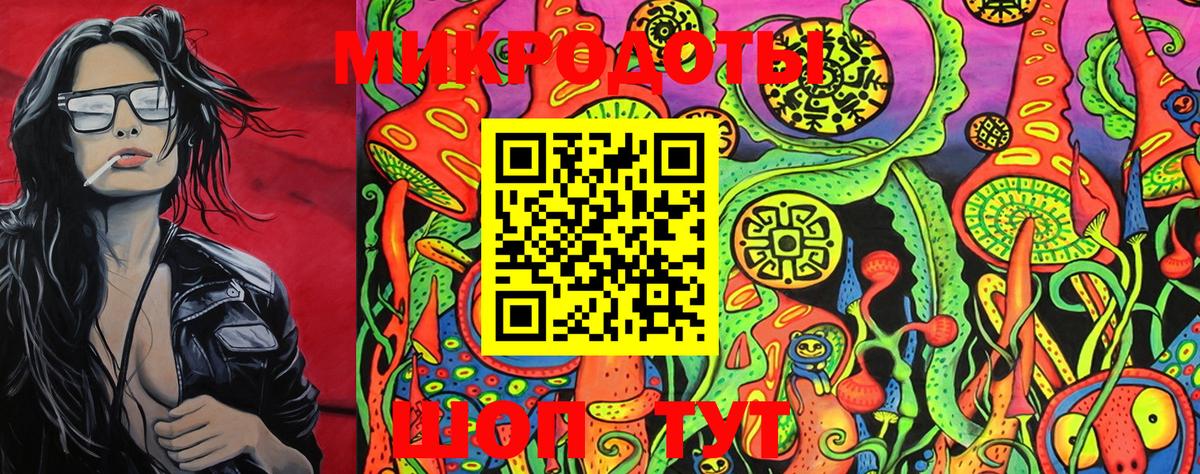 Псилоцибиновые грибы Psilocybe Знаменск